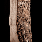 40 sacs de bois sec – 100% frêne – 8 kg - Image 3