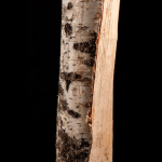 15 sacs de bois de bouleau 100% sec de 8 kg – 25cm - Image 3